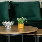 Zeromskiego 29 By Renters Daire Swinoujscie